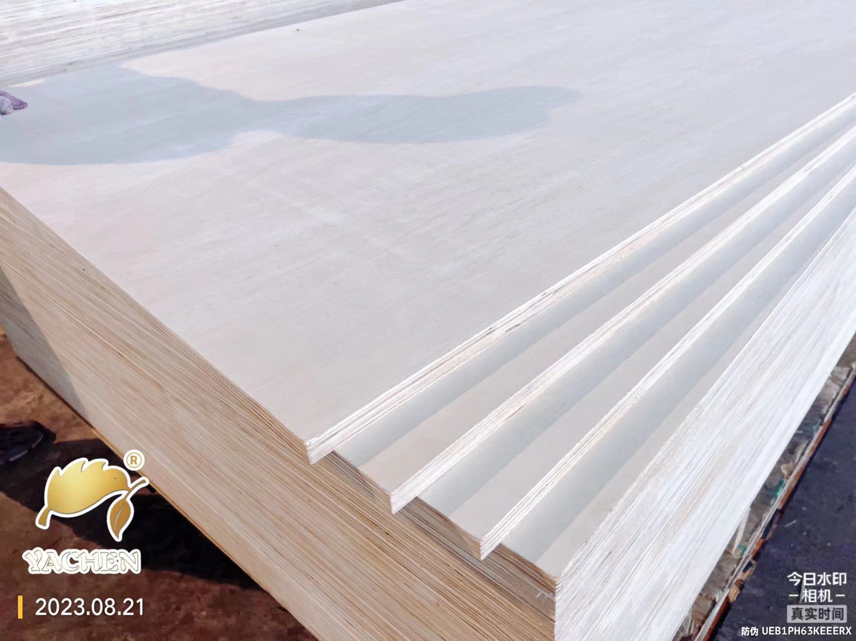 Introduction to Bleached Poplar Plywood - China plywood manufacturer ...